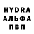 Конопля индика StudyM